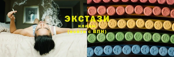 гидра Покачи