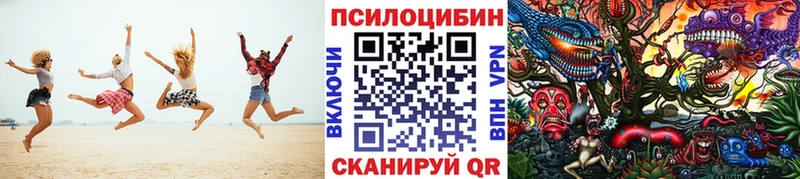 Галлюциногенные грибы Psilocybe  где продают   Осташков 